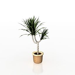 Interior Potted Plant 3d model