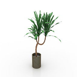 Interior Indoor Pot Plant 3d model