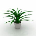 Small Table Potted Plant