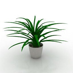 Small Table Potted Plant 3d model