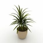 Indoor Hausvase Pflanze
