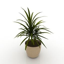 3D-модель кімнатної вази для рослин