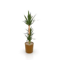 Vase Palm Plant 3d model