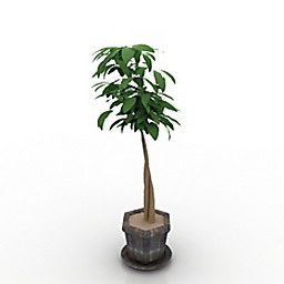 Plante en pot décorative modèle 3D