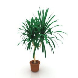 Palm Tree In Clay Pot 3d model
