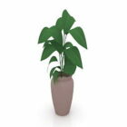 Clay Vase Ficus Plant
