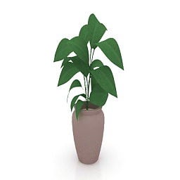 Clay Vase Ficus Plant 3d model