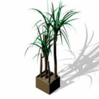 Square Pot Palm Tree