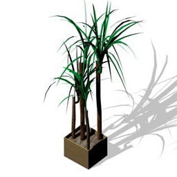 Square Pot Palm Tree 3d model
