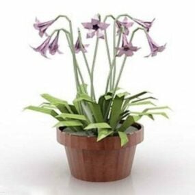 House Plant Flower Pot 3d model