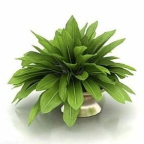 Planta de hojas de jardín en maceta modelo 3d