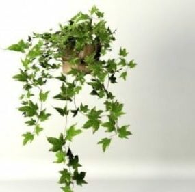 Ivy Plant Climbing On Tree 3d model