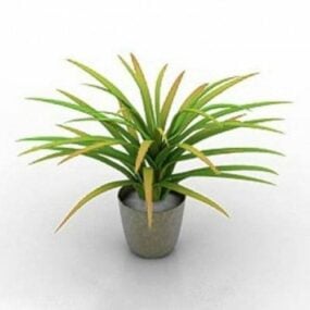 House Potted Plant 3d model