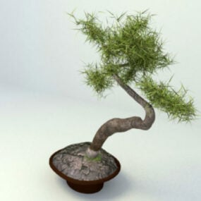 Japansk Bonsai Planter 3d-modell