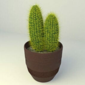 Modello 3d di pianta di cactus in vaso di plastica