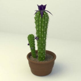 Clay Potted Cactus Plant 3d-modell