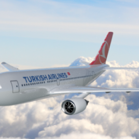 Turkish Airlines Airbus A310 Vliegtuig 3D-model