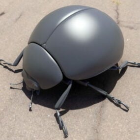 Model 3d Kumbang Daun Alder Hewan