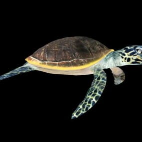 Model 3D żółwia morskiego zielonego