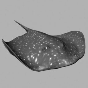 Geanimeerd Stingray Animal 3D-model