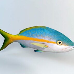 동물 노란 도미 물고기 3d 모델