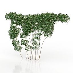 Bindweed Plant 3d model