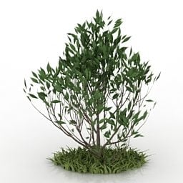 Garden Bush And Grass 3d model