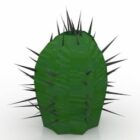 Cactus Euphorbia-plant