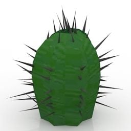 Cactus Euphorbia Plant 3d-modell