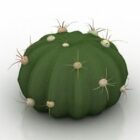 Plant Cactus Ferocactus Latiapin
