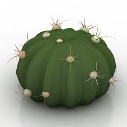 گیاه کاکتوس Ferocactus Latiapin مدل سه بعدی