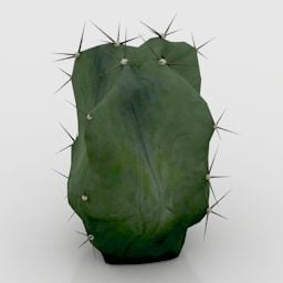 Roślinny kaktus Pruinosus Model 3D