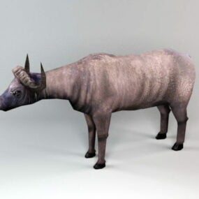 Buffalo Animal 3d model