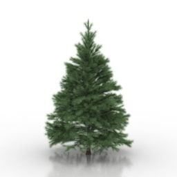 Conifers Tree Plant 3d-modell
