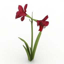 Lowpoly Flower Amaryllis 3d model