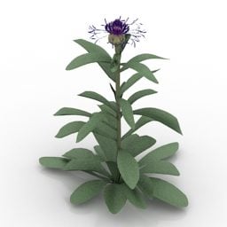 Lowpoly Flower Blue Bachelor 3d model