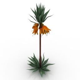 Mô hình vườn hoa Vương miện Imperial Fritillaria 3d