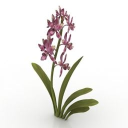 Lowpoly Plant Bloem Cymbidium Jewel Orchid 3D-model