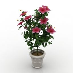 Office Potted Flower Hibiscus 3d model