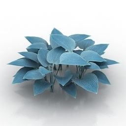 Lowpoly Hosta de fleur de jardin modèle 3D