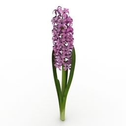 Lowpoly Flower Hyacinth 3d-model