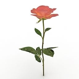 Lowpoly Рослина Квітка Персик Роза 3d модель