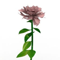 Lowpoly Квітка півонія 3d модель