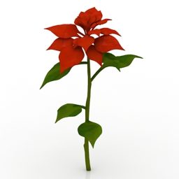 3д модель красного цветка пуансеттия