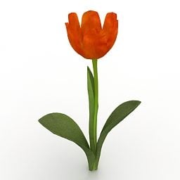 Lowpoly Flower Princess Irene Tulip