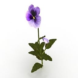 Lowpoly Рослина Квітка Пурпурна Пансі 3d модель