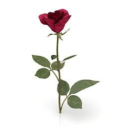 Hageblomst Red Rose 3d-modell