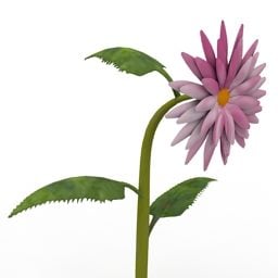 Kadife Çiçek Kraliçe Helianthus 3d modeli