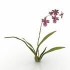 Lowpoly Plant Flower Wildcat Orchid