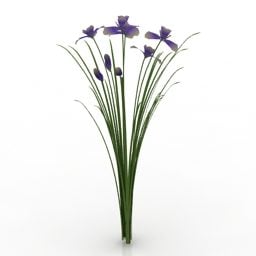 Garden Flower Irissibirica 3d model